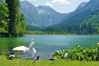 Jägersee in Kleinarl im Sommer